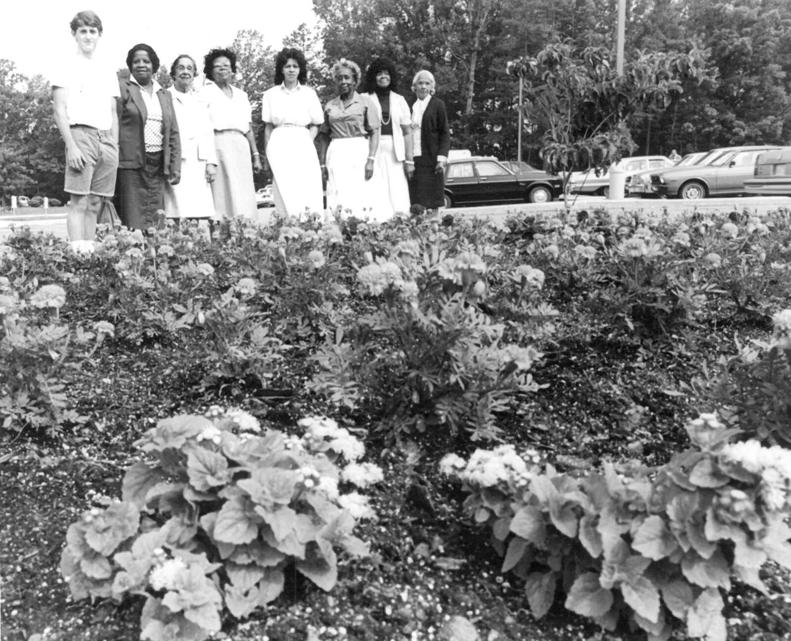 Rose garden
